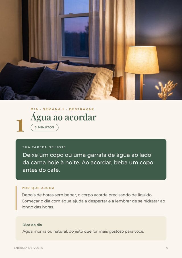 Página de um dia do guia